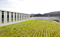 environment